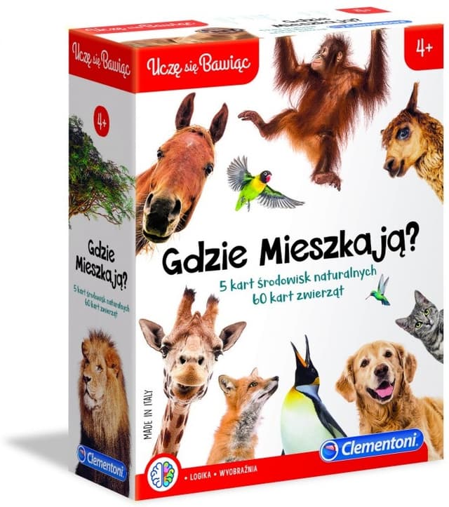 Główne zdjęcie produktu